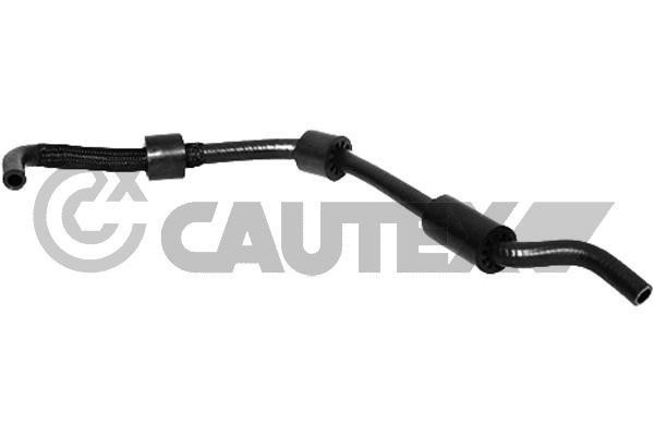 Cautex 766557 Hose, cylinder head cover breather 766557: Buy near me in Poland at 2407.PL - Good price!