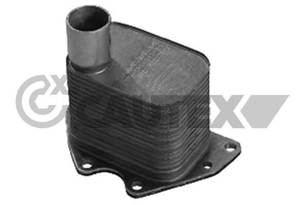 Cautex 751818 Oil Cooler, engine oil 751818: Buy near me in Poland at 2407.PL - Good price!