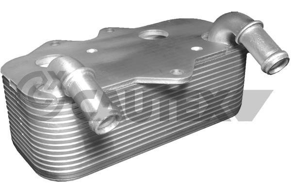 Cautex 482540 Oil cooler 482540: Buy near me at 2407.PL in Poland at an Affordable price!