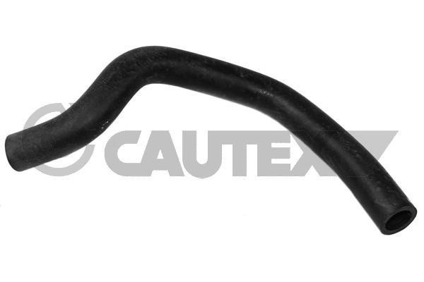 Cautex 753133 Hose, cylinder head cover breather 753133: Buy near me in Poland at 2407.PL - Good price!