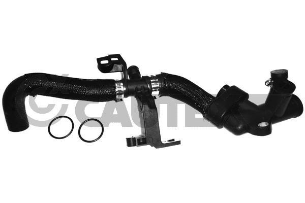 Cautex 036807 Radiator hose 036807: Buy near me at 2407.PL in Poland at an Affordable price!
