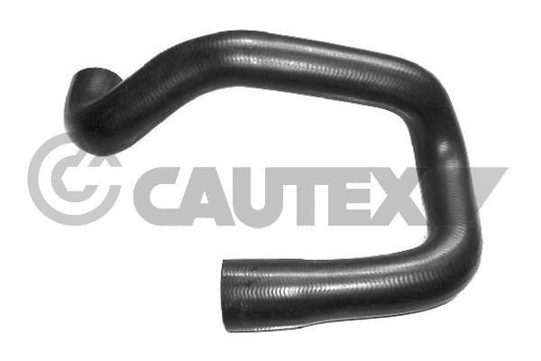 Cautex 766520 Radiator hose 766520: Buy near me in Poland at 2407.PL - Good price!