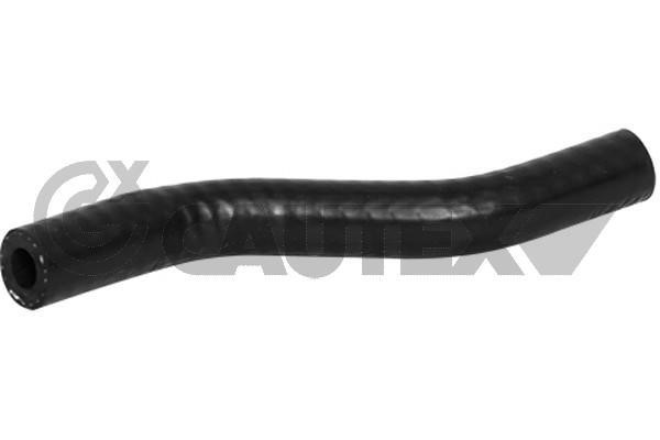 Cautex 752841 Radiator hose 752841: Buy near me at 2407.PL in Poland at an Affordable price!