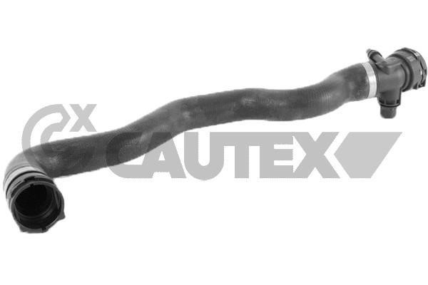 Cautex 769784 Radiator hose 769784: Buy near me in Poland at 2407.PL - Good price!