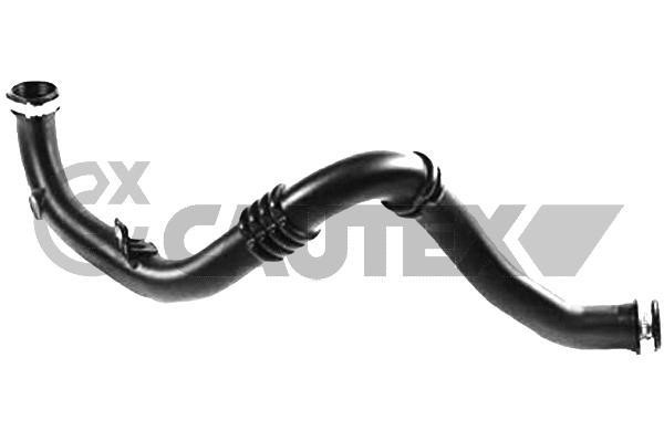 Cautex 771872 Radiator hose 771872: Buy near me in Poland at 2407.PL - Good price!
