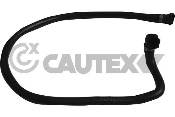 Cautex 753965 Radiator hose 753965: Buy near me in Poland at 2407.PL - Good price!