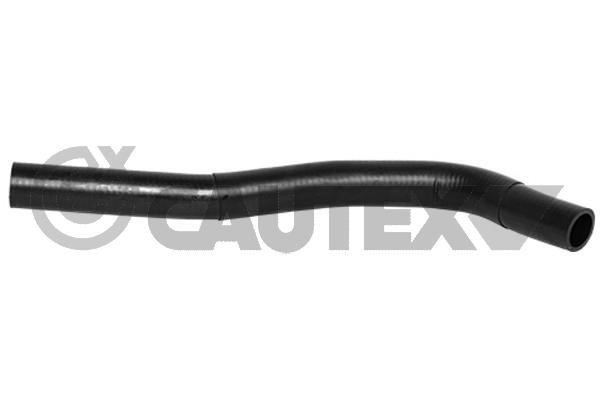 Cautex 754183 Radiator hose 754183: Buy near me in Poland at 2407.PL - Good price!