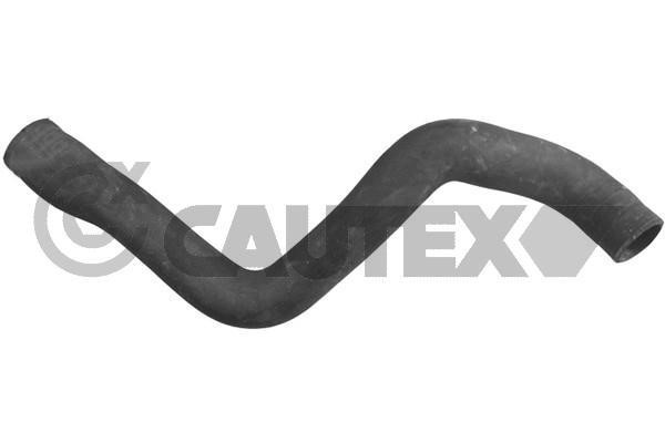Cautex 753526 Radiator hose 753526: Buy near me at 2407.PL in Poland at an Affordable price!