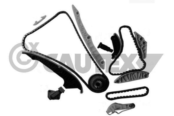 Cautex 752036 Timing chain kit 752036: Buy near me in Poland at 2407.PL - Good price!