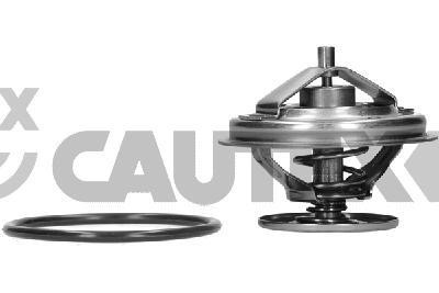 Cautex 756884 Thermostat, coolant 756884: Buy near me in Poland at 2407.PL - Good price!