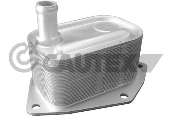 Cautex 701074 Oil Cooler, engine oil 701074: Buy near me in Poland at 2407.PL - Good price!