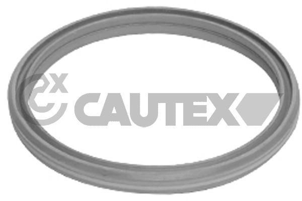 Cautex 751989 Уплотнительное кольцо, компрессор 751989: Отличная цена - Купить в Польше на 2407.PL!