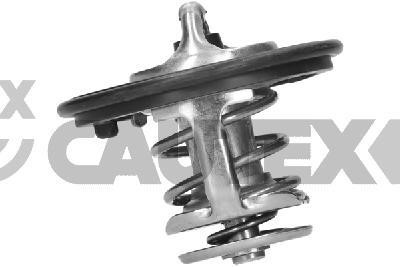 Cautex 771482 Thermostat, coolant 771482: Buy near me in Poland at 2407.PL - Good price!