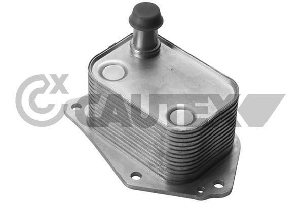 Cautex 751810 Oil Cooler, engine oil 751810: Buy near me in Poland at 2407.PL - Good price!