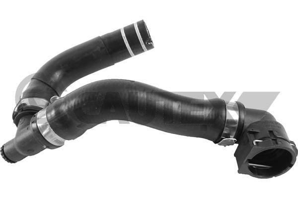 Cautex 769929 Radiator hose 769929: Buy near me in Poland at 2407.PL - Good price!