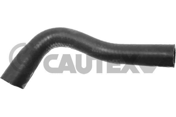 Cautex 770771 Radiator hose 770771: Buy near me in Poland at 2407.PL - Good price!