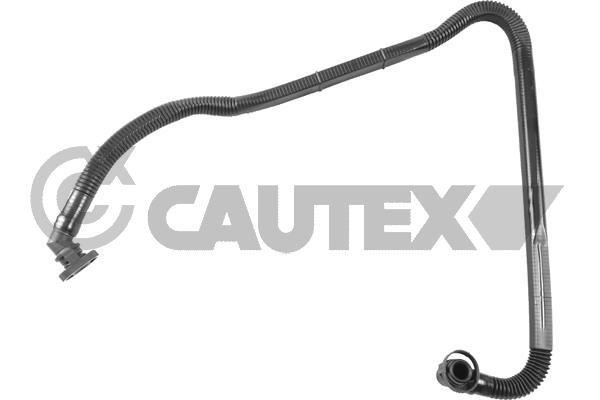 Cautex 767529 Hose, crankcase breather 767529: Buy near me in Poland at 2407.PL - Good price!