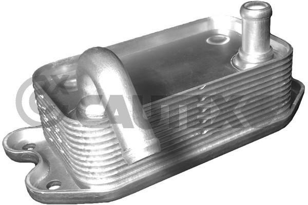 Cautex 701073 Oil Cooler, engine oil 701073: Buy near me in Poland at 2407.PL - Good price!