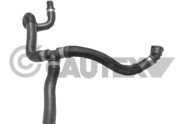 Cautex 754376 Radiator hose 754376: Buy near me in Poland at 2407.PL - Good price!