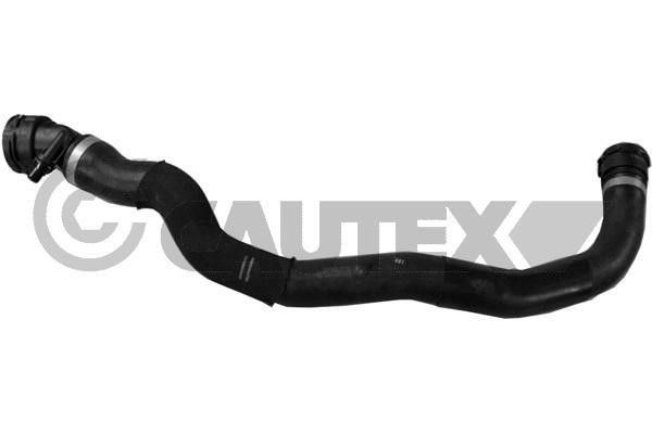 Cautex 770478 Radiator hose 770478: Buy near me in Poland at 2407.PL - Good price!