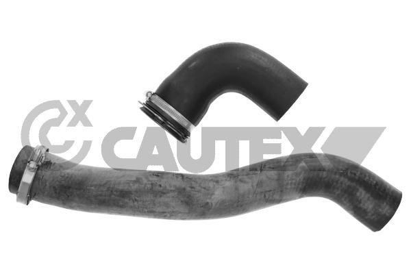Cautex 771025 Radiator hose 771025: Buy near me at 2407.PL in Poland at an Affordable price!