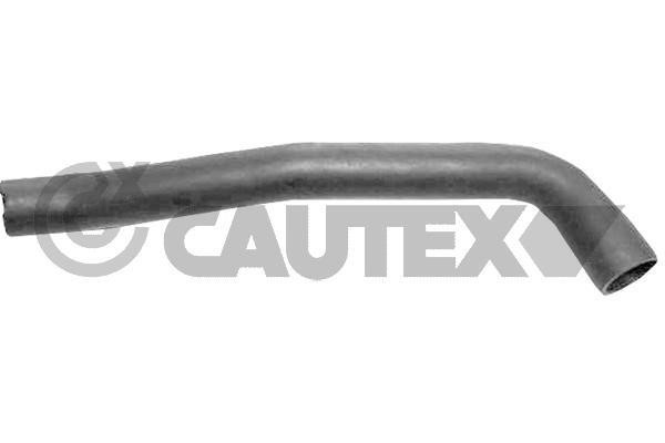 Cautex 767061 Oil Hose 767061: Buy near me at 2407.PL in Poland at an Affordable price!