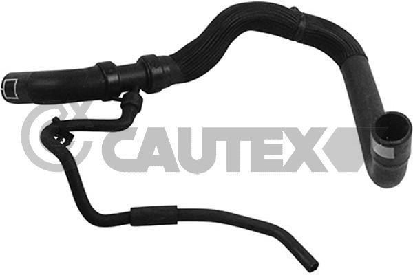 Cautex 764863 Radiator hose 764863: Buy near me in Poland at 2407.PL - Good price!