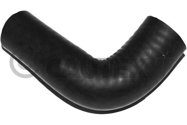 Cautex 767528 Radiator hose 767528: Buy near me in Poland at 2407.PL - Good price!