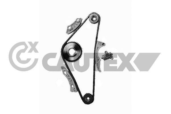 Cautex 752051 Timing chain kit 752051: Buy near me in Poland at 2407.PL - Good price!