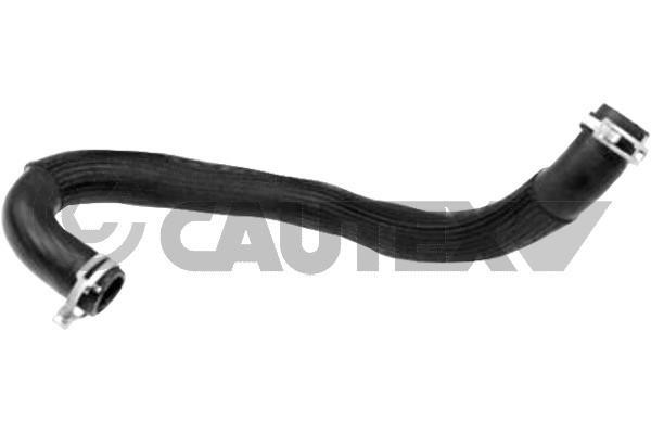 Cautex 771384 Radiator hose 771384: Buy near me at 2407.PL in Poland at an Affordable price!