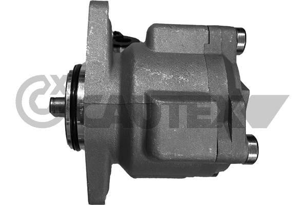 Cautex 768325 Hydraulic Pump, steering system 768325: Buy near me in Poland at 2407.PL - Good price!