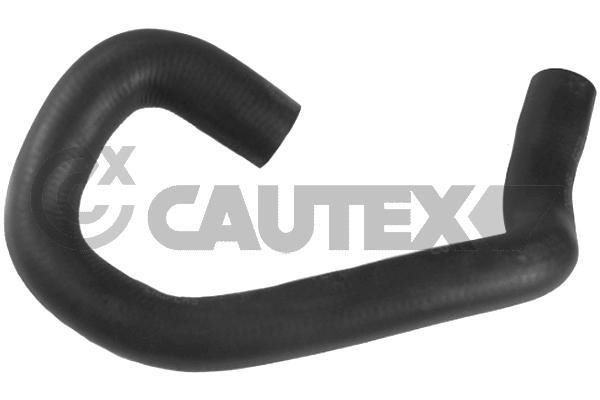 Cautex 770962 Radiator hose 770962: Buy near me at 2407.PL in Poland at an Affordable price!