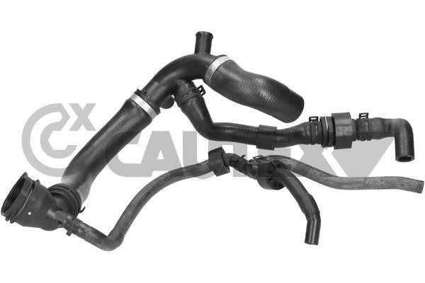 Cautex 770896 Radiator hose 770896: Buy near me in Poland at 2407.PL - Good price!