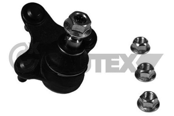 Cautex 755049 Ball joint 755049: Buy near me in Poland at 2407.PL - Good price!