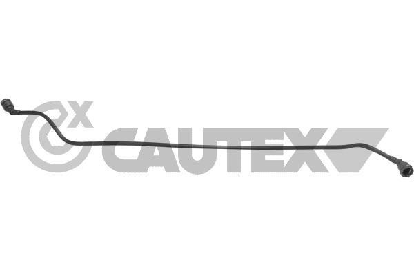 Cautex 754303 Radiator hose 754303: Buy near me in Poland at 2407.PL - Good price!