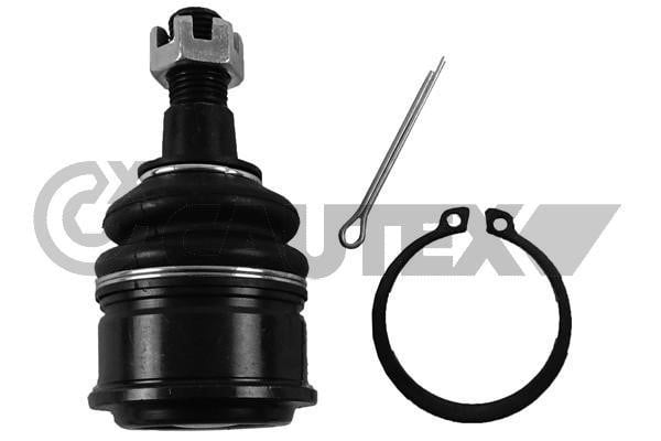 Cautex 755066 Ball joint 755066: Buy near me in Poland at 2407.PL - Good price!