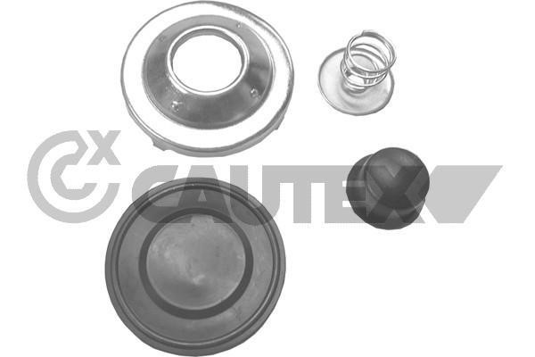 Cautex 750256 Fuel filter 750256: Buy near me at 2407.PL in Poland at an Affordable price!