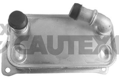 Cautex 771878 масляный радиатор, двигательное масло 771878: Отличная цена - Купить в Польше на 2407.PL!