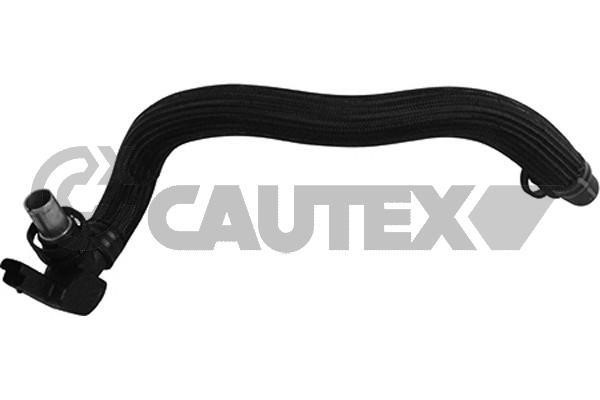 Cautex 764618 Hose, cylinder head cover breather 764618: Buy near me in Poland at 2407.PL - Good price!