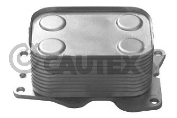 Cautex 751801 Oil Cooler, engine oil 751801: Buy near me in Poland at 2407.PL - Good price!