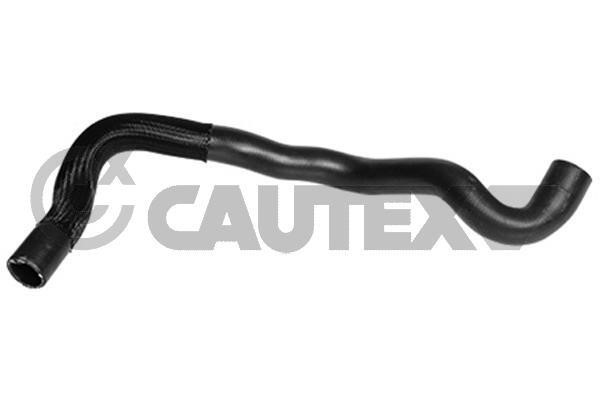 Cautex 753407 Radiator hose 753407: Buy near me in Poland at 2407.PL - Good price!