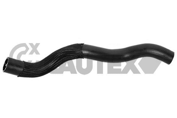 Cautex 753312 Radiator hose 753312: Buy near me in Poland at 2407.PL - Good price!