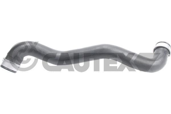 Cautex 765544 Radiator hose 765544: Buy near me in Poland at 2407.PL - Good price!