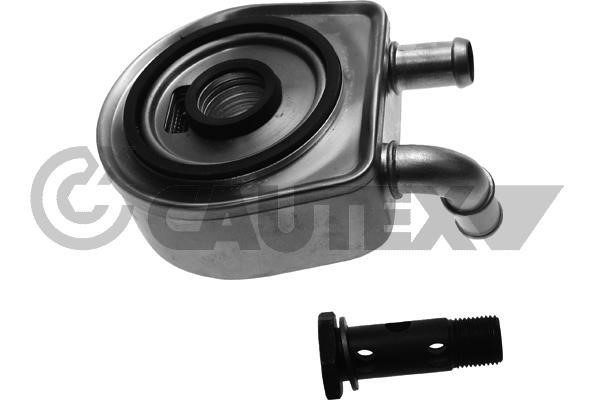 Cautex 771121 Oil Cooler, engine oil 771121: Buy near me in Poland at 2407.PL - Good price!