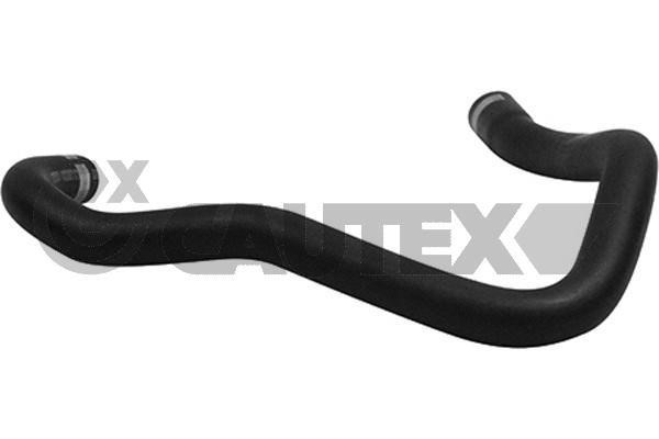 Cautex 764982 Oil Hose 764982: Buy near me at 2407.PL in Poland at an Affordable price!