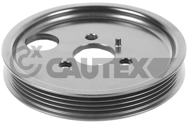 Cautex 770176 Power Steering Pulley 770176: Buy near me in Poland at 2407.PL - Good price!