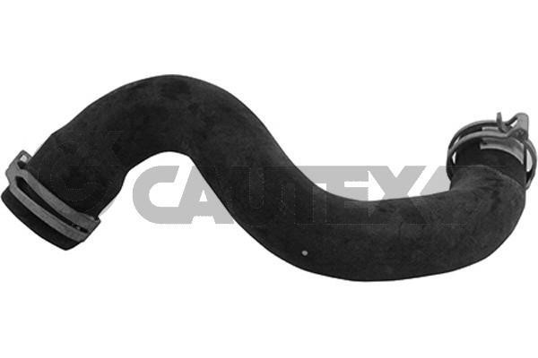 Cautex 753863 Radiator hose 753863: Buy near me in Poland at 2407.PL - Good price!