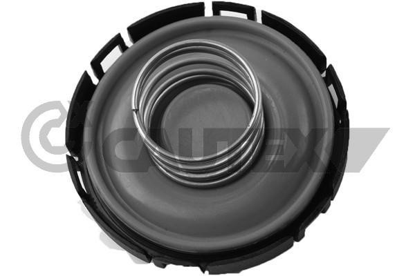 Cautex 765039 Cylinder Head Cover 765039: Buy near me in Poland at 2407.PL - Good price!
