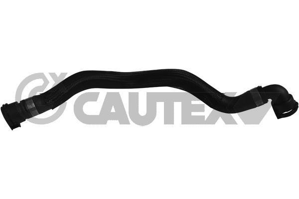 Cautex 753969 Radiator hose 753969: Buy near me in Poland at 2407.PL - Good price!