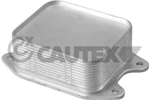 Cautex 760766 Oil Cooler, engine oil 760766: Buy near me in Poland at 2407.PL - Good price!